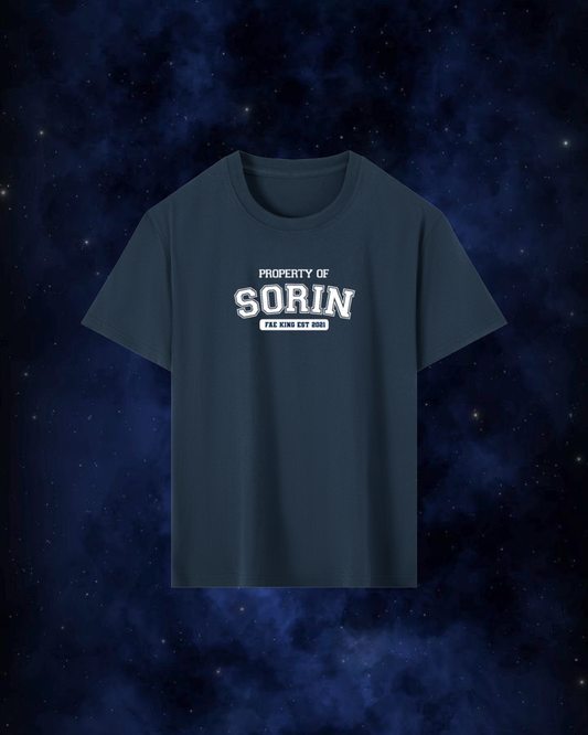 Property of Sorin (unisex t-shirt)